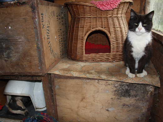 Bed and Breakfast Brock!