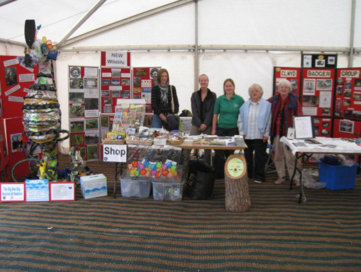 Clwyd Badger Group Fundraising Stall