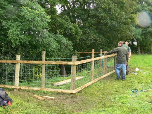 Creating a space for wildlife